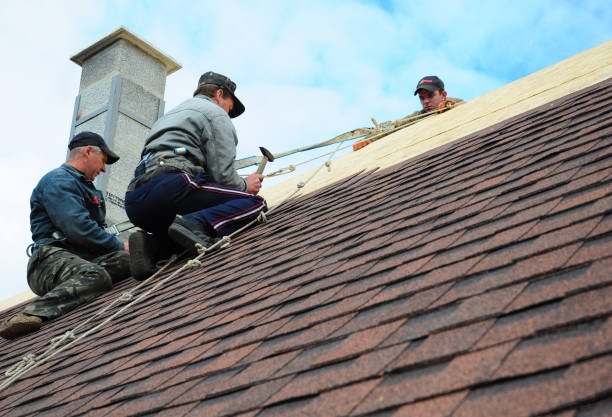 Quick and Trustworthy Emergency Roof Repair Services in Red Bank, SC